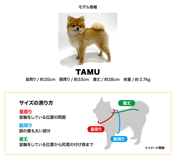 tamusize