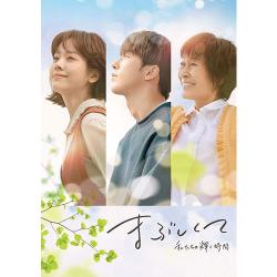 まぶしくて ―私たちの輝く時間― 【韓国放送版】 DVD-BOX