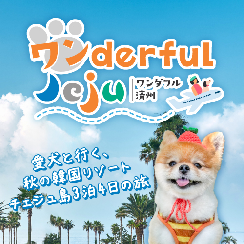 ワンderful Jeju - 愛犬と行く、秋の韓国リゾート・チェジュ島3泊4日の旅 -