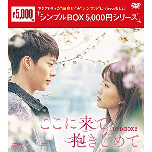 ドラマ「ここに来て抱きしめて」 シンプルDVD-BOX2